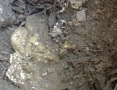 �a�������ИI(y��)�đ�(y��ng)�Ã�(y��u)��(sh��)������